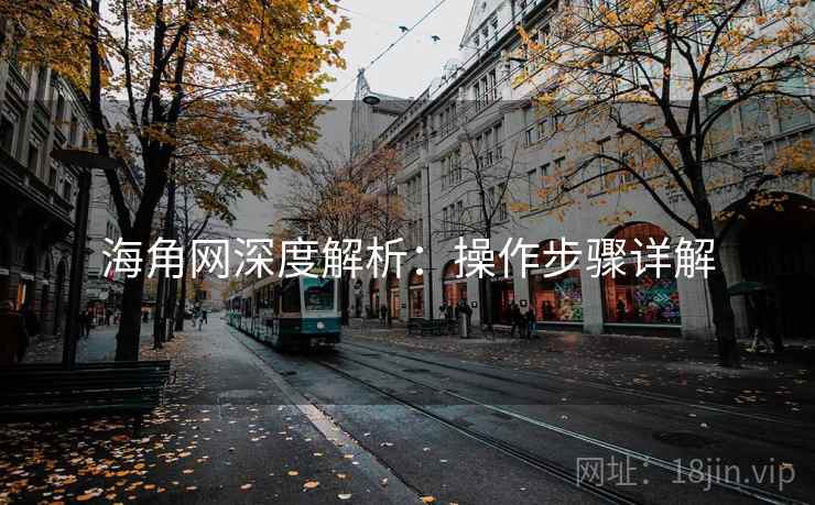 海角网深度解析:操作步骤详解