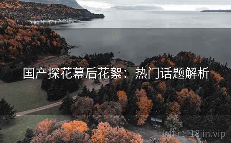 国产探花幕后花絮:热门话题解析