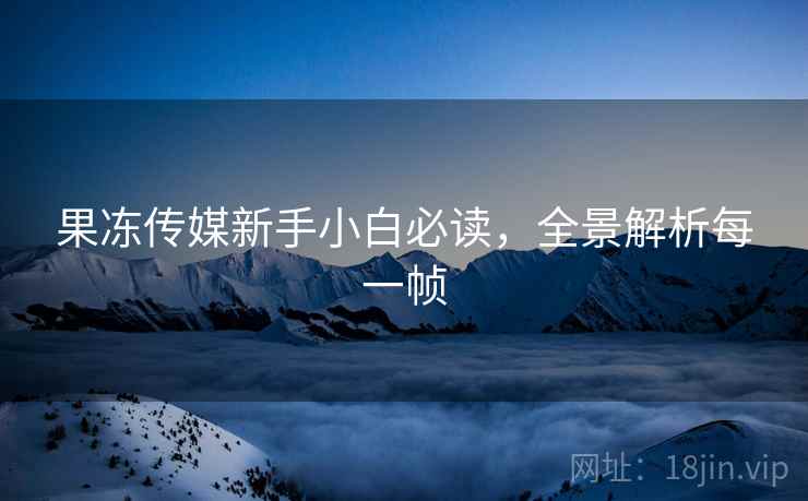 果冻传媒新手小白必读,全景解析每一帧